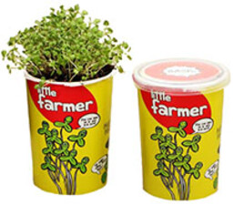 کاشت گل کشاورز کوچولو