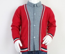 پلیور مجلسی blue fox