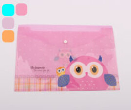 پوشه دکمه دار