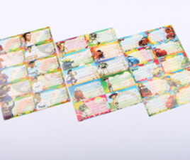 بر چسب اسم (دو برگ)