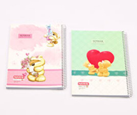 دفتر مشق 100 برگ سیمی