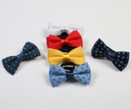 پاپیون نوزادی ترک