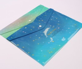 پوشه دکمه دار