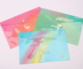 پوشه دکمه دار