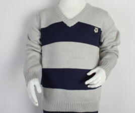 پلیور Antscastle