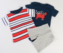 سه تکه کارترز carter's