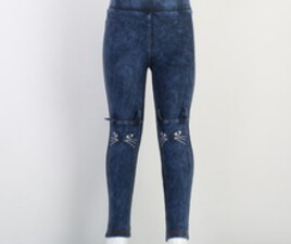 ساق طرح جین cichlid ترکیه