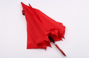 چتر برجسته