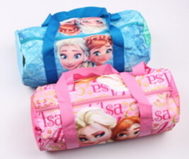 کیف ورزشی فروزن