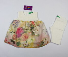 تونیک وساق cichlid ترکیه