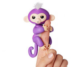 میمون فینگر لینگز کوکی