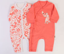 سرهمی 2 عددی vachyoon