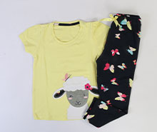 تیشرت و شلوار vachyoon