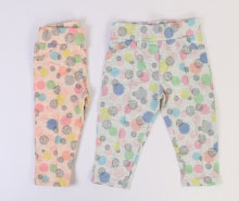 ساق برمودا cichlid