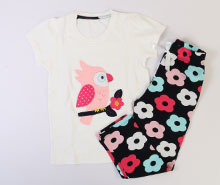 تیشرت و شلوار vachyoon