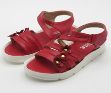 صندل گلی قرمز (نیکتا)