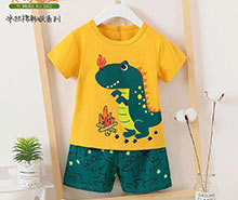 تیشرت و شلوارک childrens wear