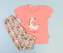 تیشرت و شلوار vachyoon