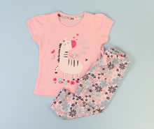 تیشرت و شلوار vachyoon