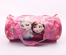 کیف ورزشی فروزن