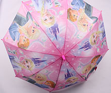 چتر فروزن (تنوع طرح و رنگ)