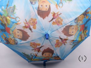 چتر سگ های نگهبان (تنوع طرح و رنگ)