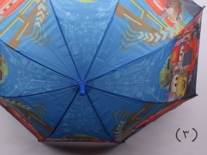 چتر مک کوئین (تنوع طرح و رنگ)
