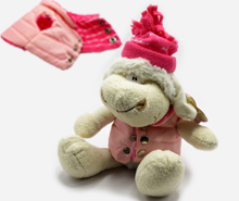 ببعی سرمایی