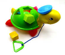 لاک پشت اشکال