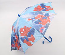 چتر (تنوع طرح و رنگ)