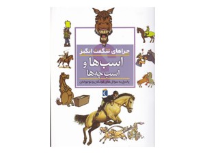چراهای شگفت‌انگیز( اسب‌ها و اسب‌چه‌ها)