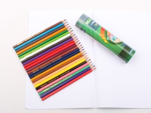مداد رنگی 24 رنگ Picasso