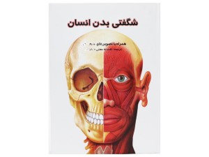 شگفتی های بدن انسان (کتاب pop-up)