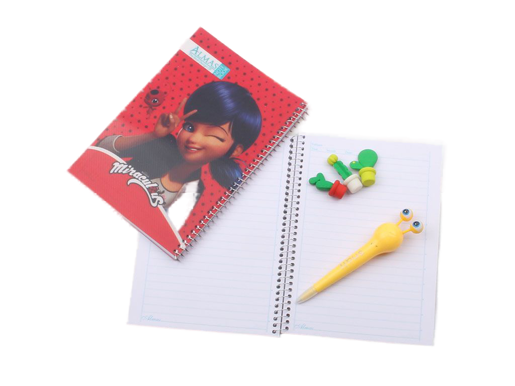 دفتر مشق سیمی 80 برگ (دارای تنوع طرح)