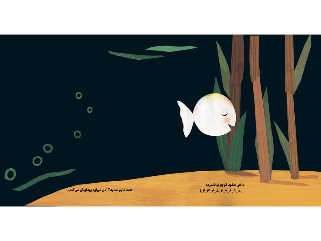 ماهی سفید کوچولو (قایم موشک)