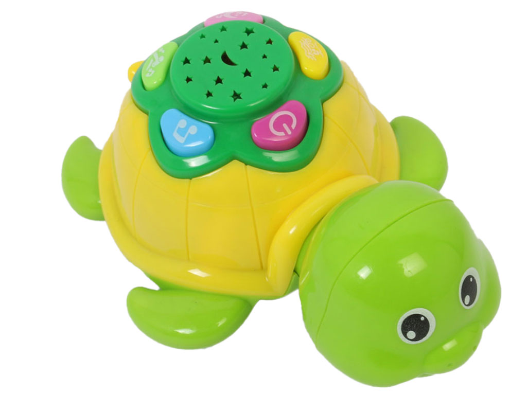 لاک پشت موزیکال پروجکشن