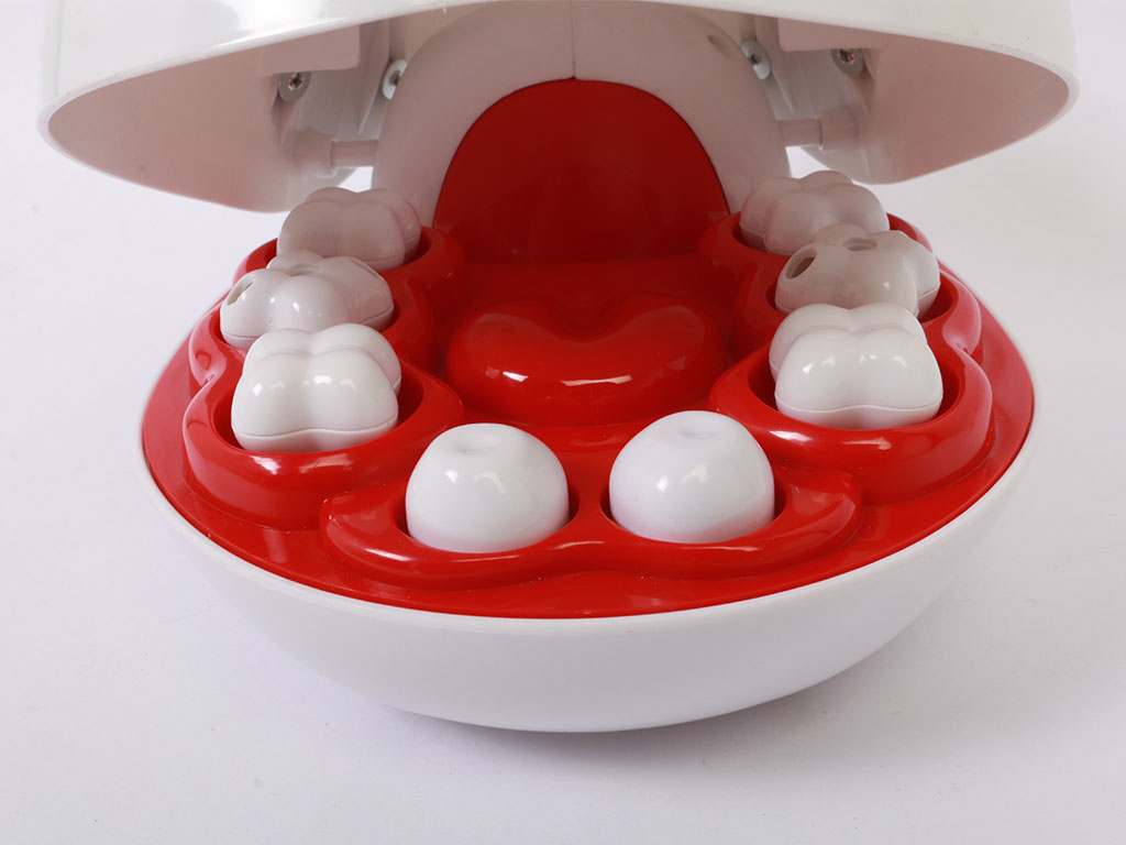 ست دندان پزشکی اسباب بازی 17 قطعه حیوانات