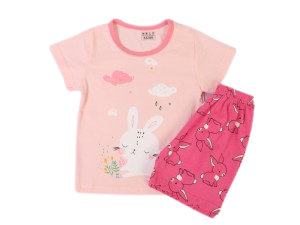 تیشرت و شلوارک نوزادی kai kai wangzi