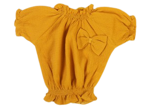 شومیز blue star