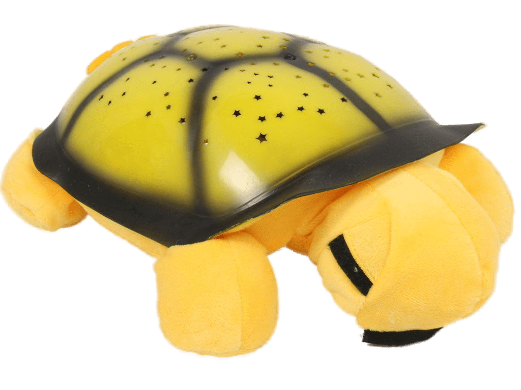 چراغ خواب شلمن آوازخوان پالیزان palizan