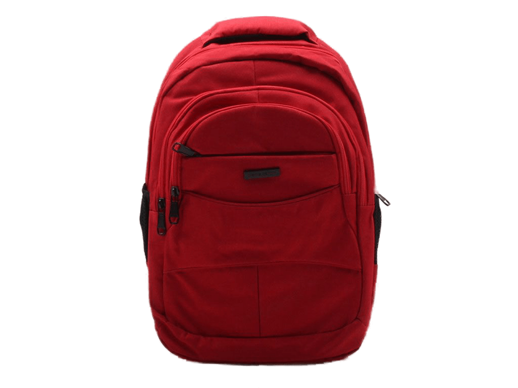 کوله پشتی (دارای رنگبندی)