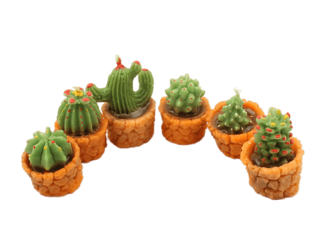 شمع کاکتوس (6 عددی)