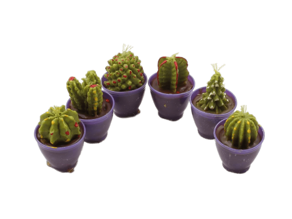 شمع کاکتوس (6 عددی/دارای رنگبندی)