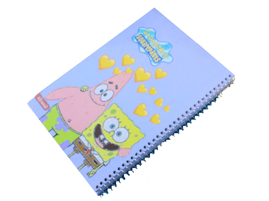 دفتر مشق سیمی 100 برگ با جلد گالینگور فانتزی اکلیلی الوند