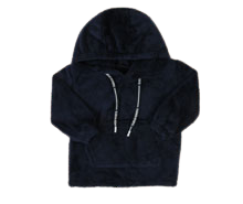 هودی تدی bamshi