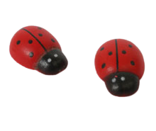 کفشدوزک تزئینی