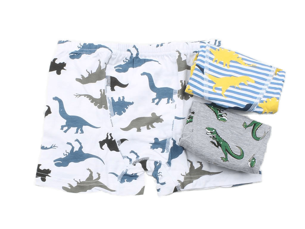 شورت پادار طرح دایناسور (12-11 سال)
