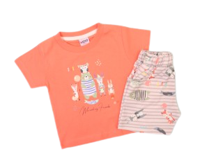 تیشرت و شلوارک نوزادی پسرانه kido max