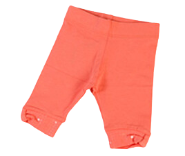 ساق cichlid ترکیه