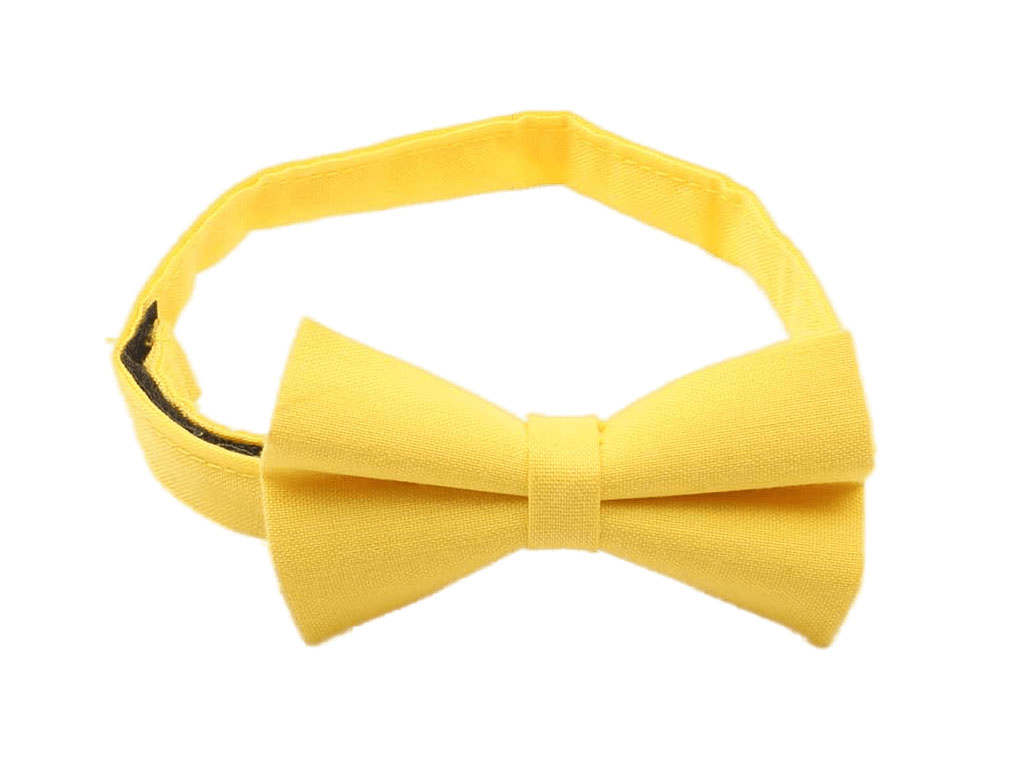 پاپیون (دارای رنگبندی)